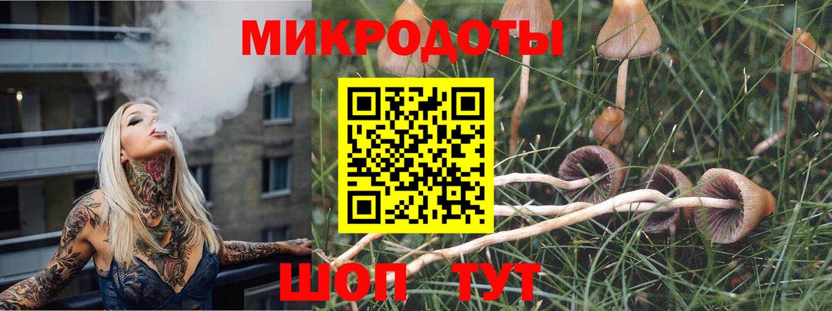 Галлюциногенные грибы прущие грибы Красногорск