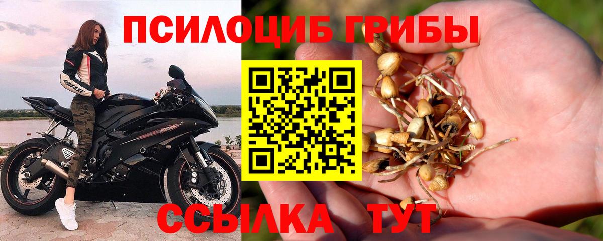 ГАШ Красногорск